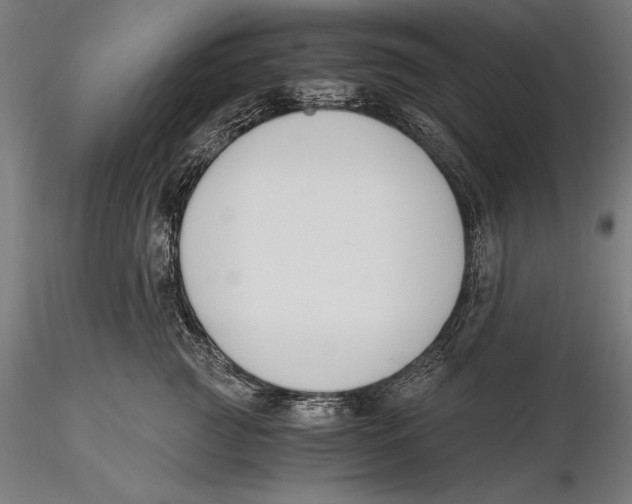 X0000115480761200912040952