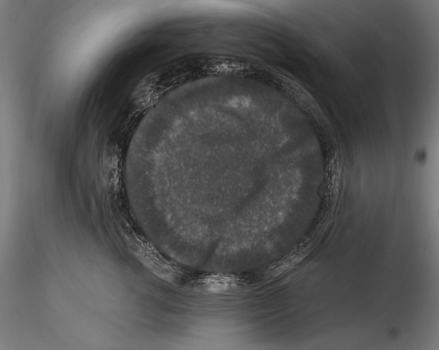 X0000115480762200912040952