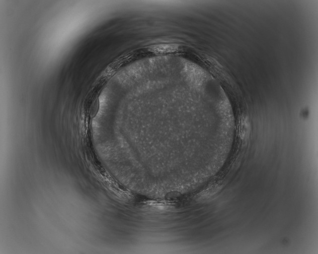 X0000115480763200912040952