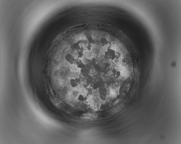 X0000115480765200912040952