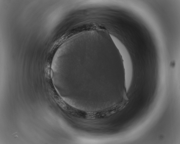 X0000115480766200912040953