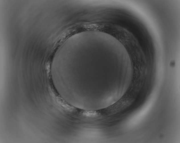 X0000115480767200912040953