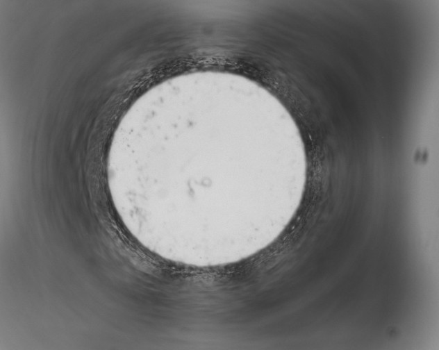 X0000115480769200912040952
