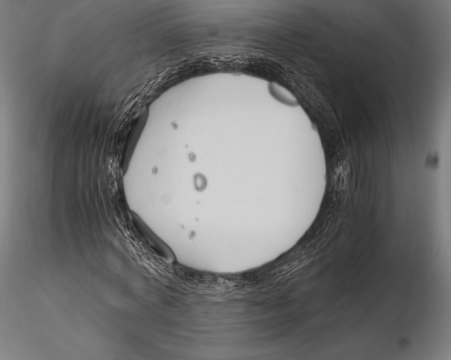 X0000115480772200912040952