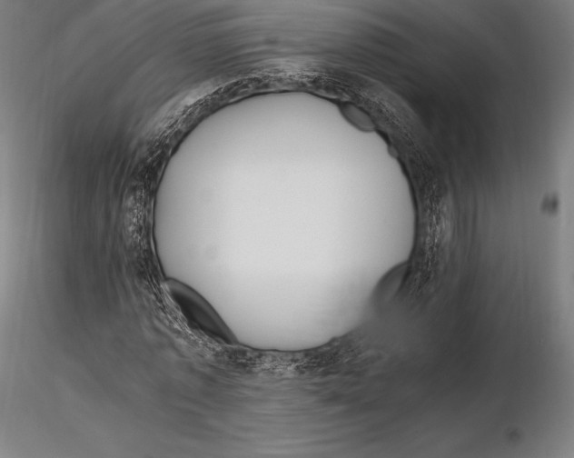 X0000115480773200912040952