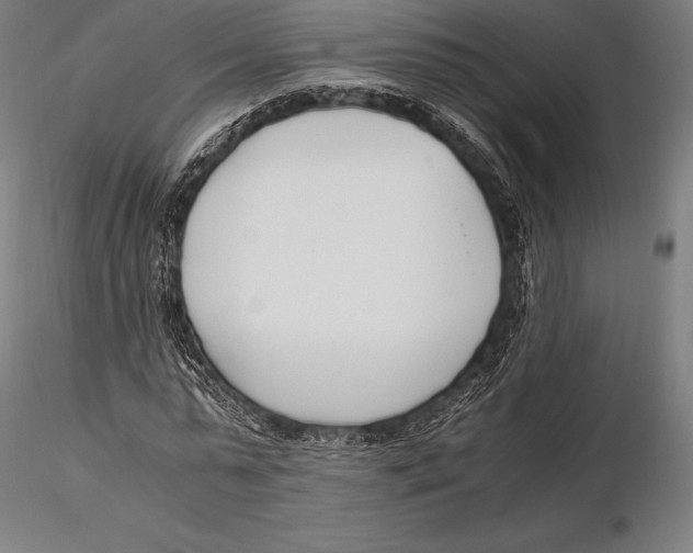 X0000115480775200912040952