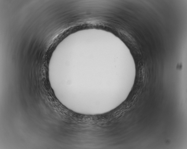 X0000115480776200912040952