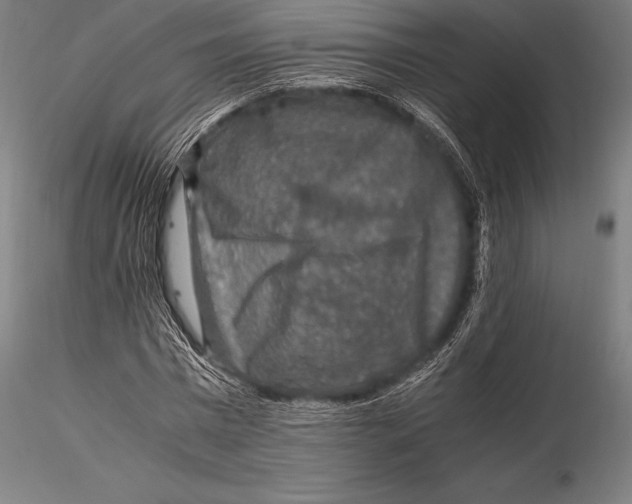 X0000115480777200912040952