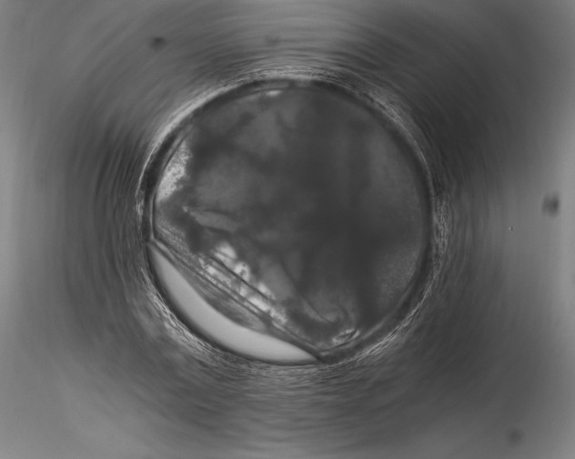 X0000115480779200912040952