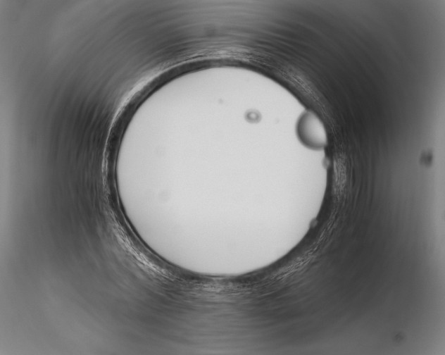 X0000115480780200912040952