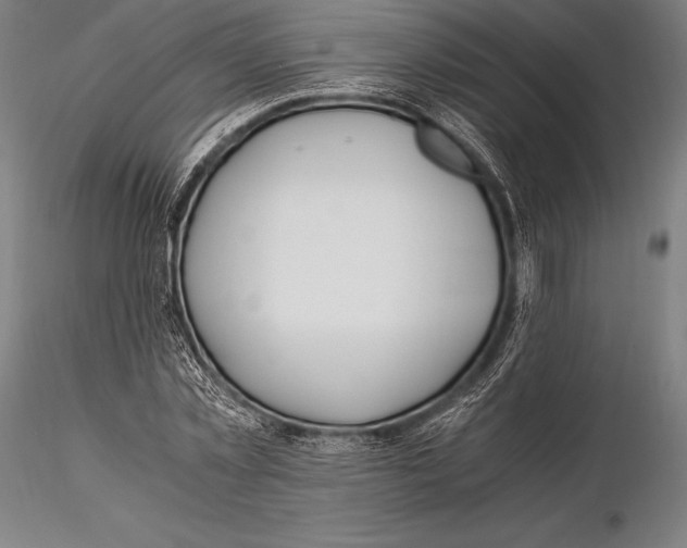 X0000115480781200912040952