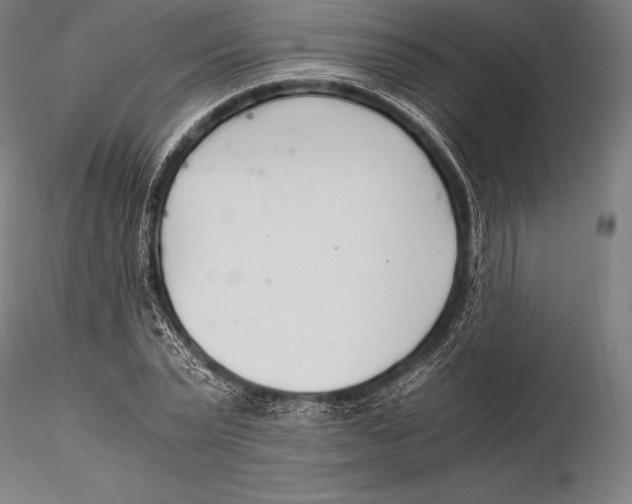 X0000115480783200912040952