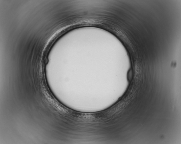 X0000115480784200912040951