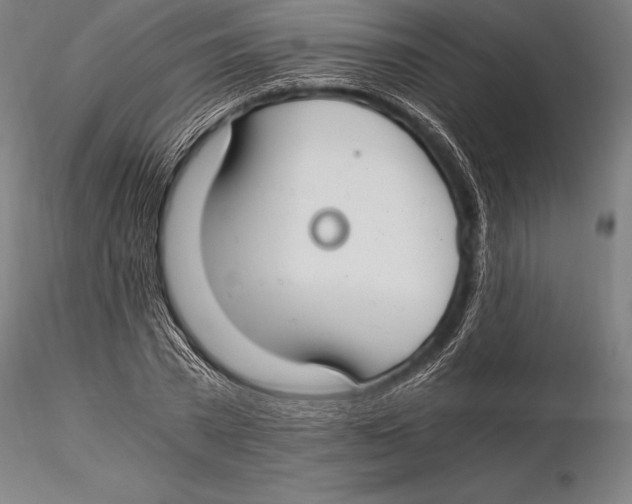 X0000115480785200912040951