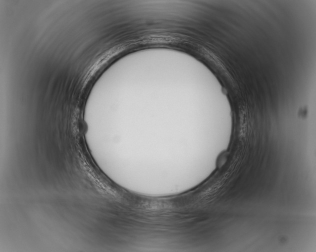 X0000115480786200912040951