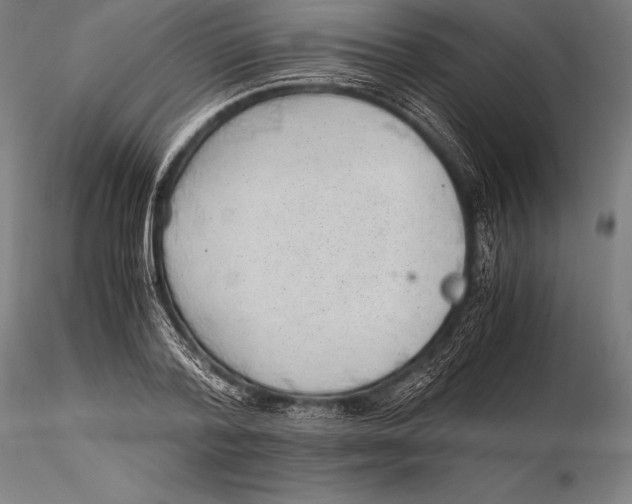 X0000115480788200912040951
