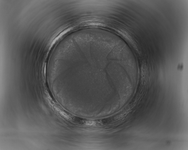 X0000115480790200912040951