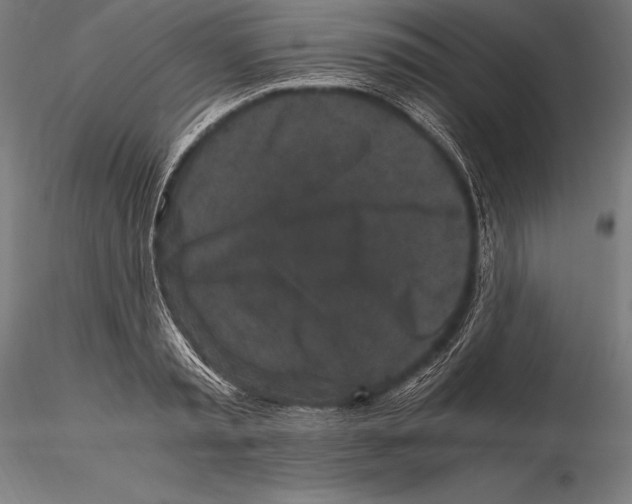 X0000115480797200912040951