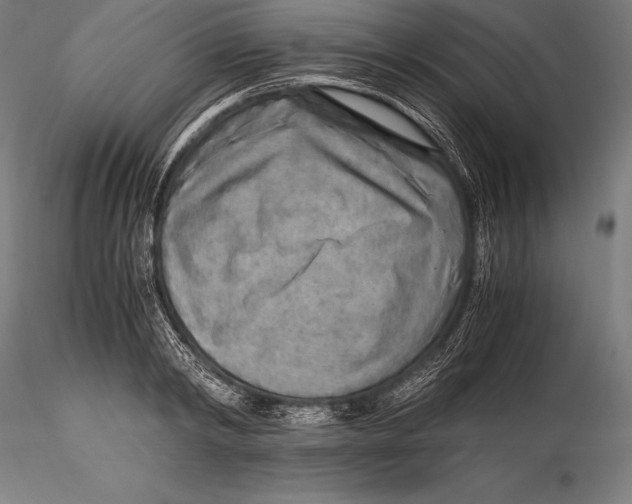 X0000115480798200912040951