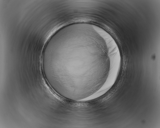 X0000115480802200912040951