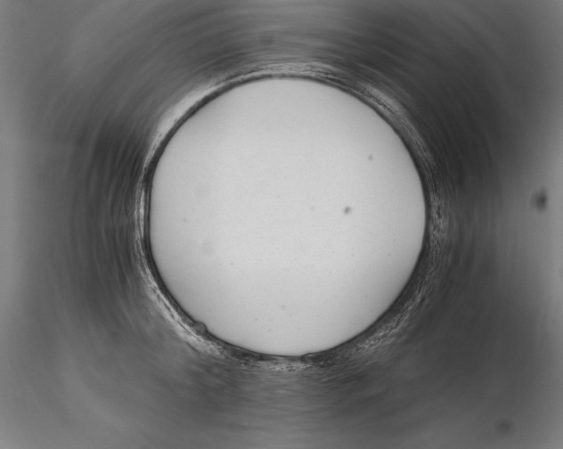 X0000115480804200912040951