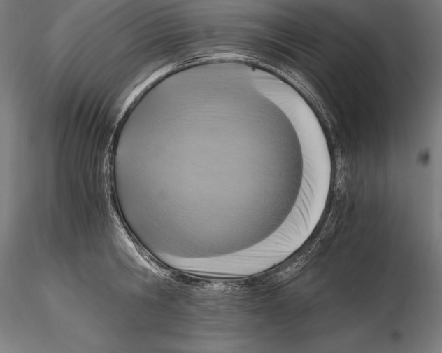 X0000115480806200912040951