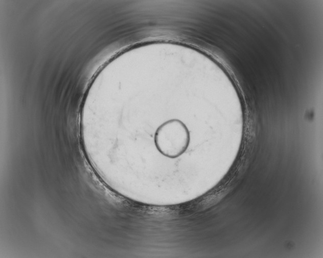 X0000115480807200912040951