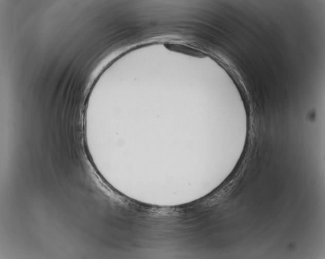 X0000115480808200912040951