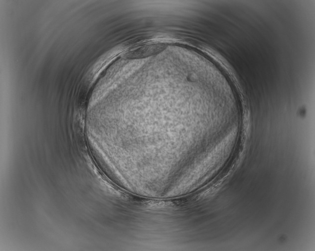 X0000115480809200912040951