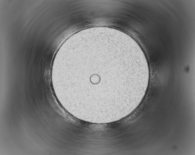 X0000115480810200912040951