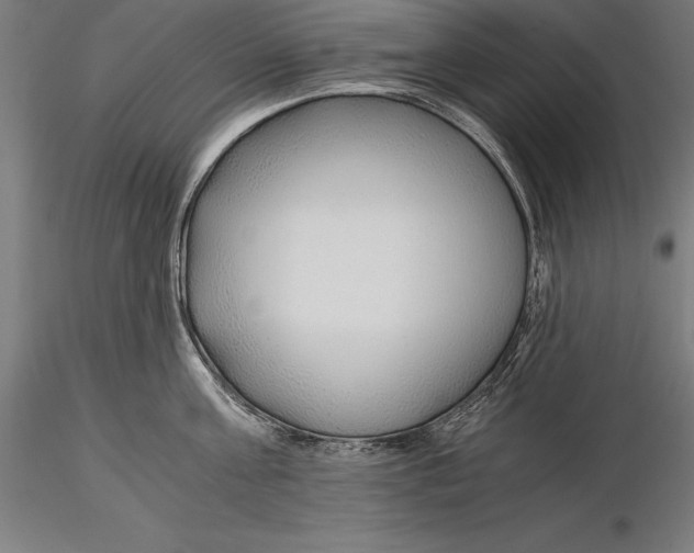 X0000115480811200912040951