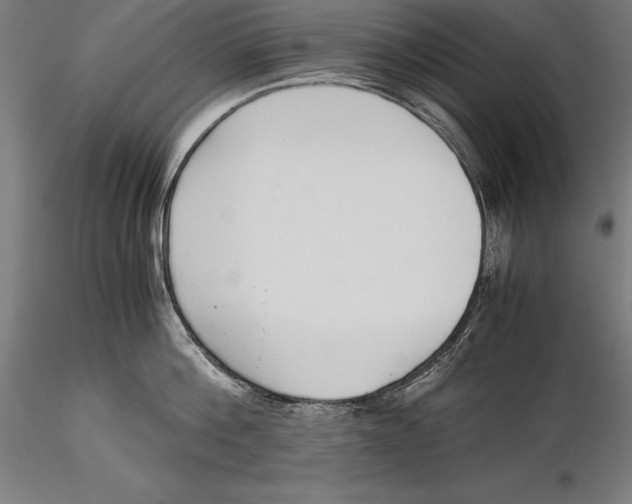 X0000115480812200912040951