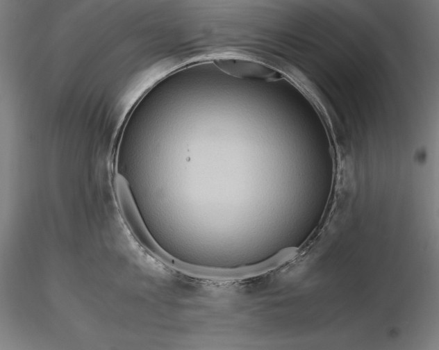 X0000115480813200912040951