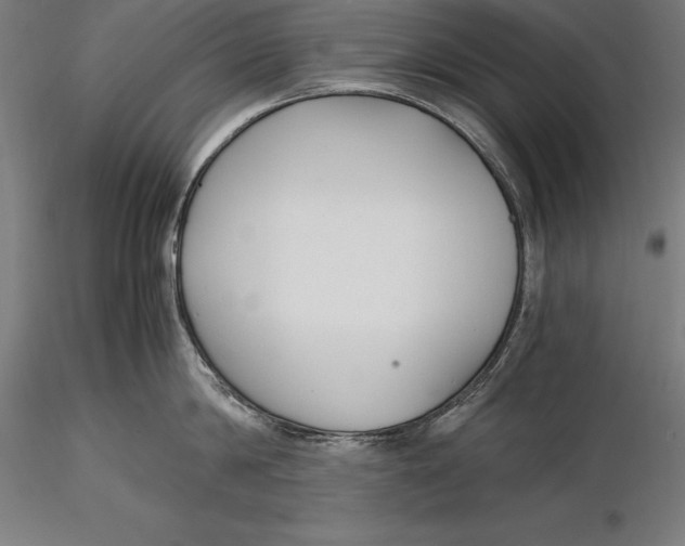 X0000115480814200912040951