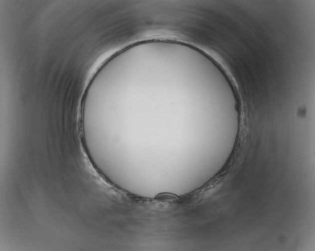 X0000115480815200912040951
