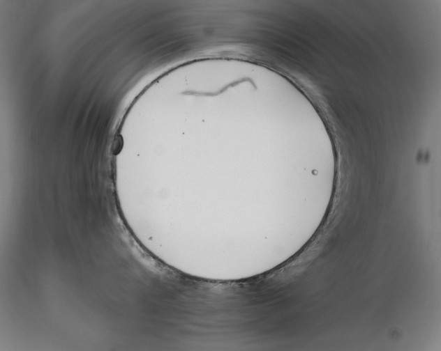 X0000115480816200912040951