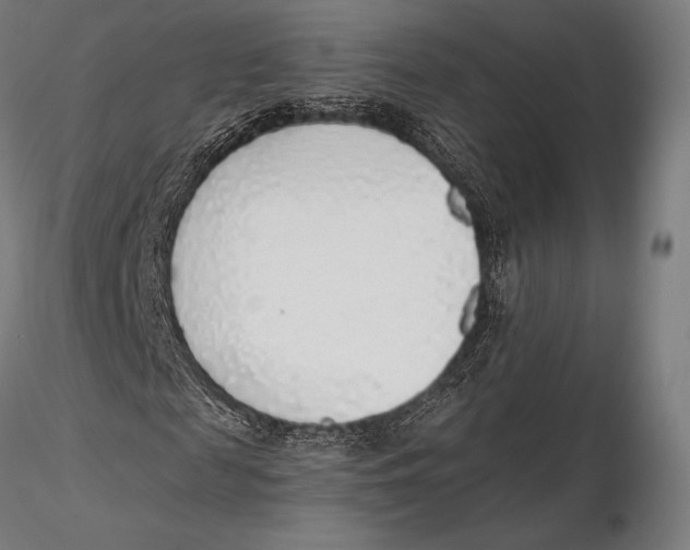 X0000115480817200912040950