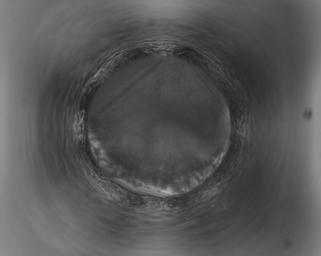 X0000115480818200912040950