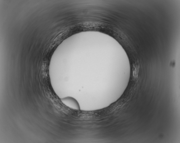 X0000115480819200912040950