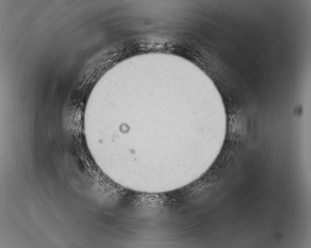 X0000115480820200912040950