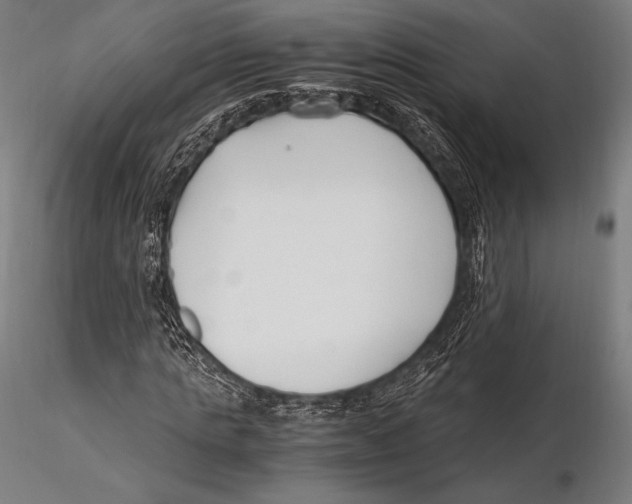 X0000115480821200912040950