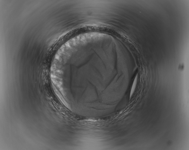 X0000115480822200912040950