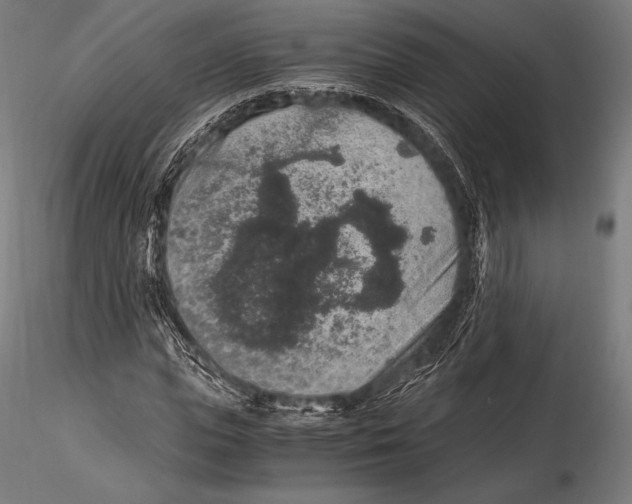 X0000115480823200912040950