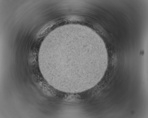 X0000115480824200912040950