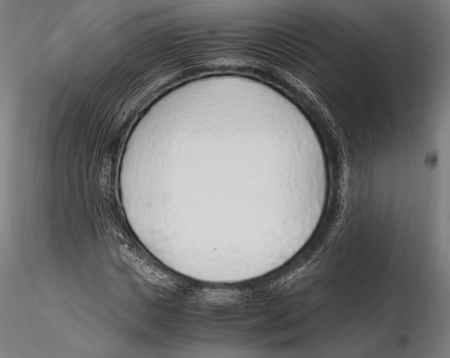 X0000115480825200912040950