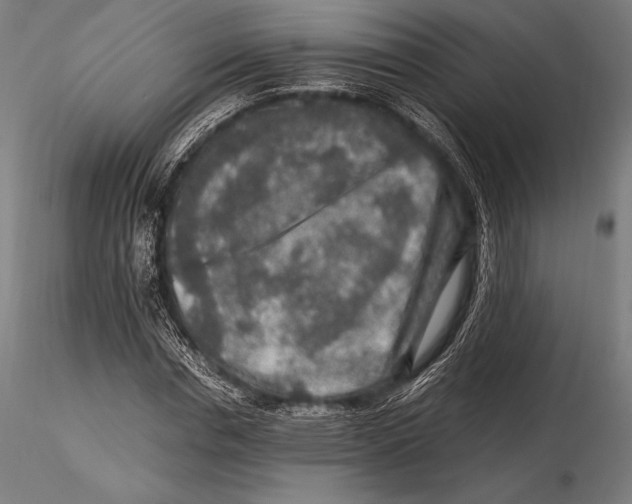 X0000115480826200912040950