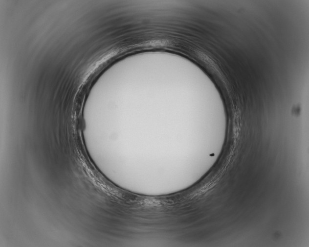 X0000115480827200912040950