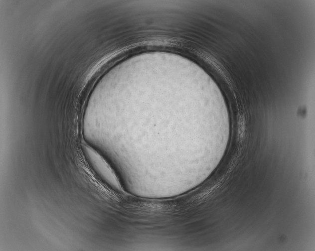 X0000115480829200912040951