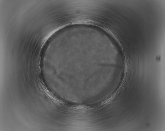 X0000115480830200912040951
