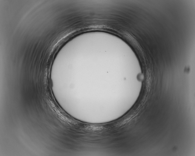 X0000115480831200912040951